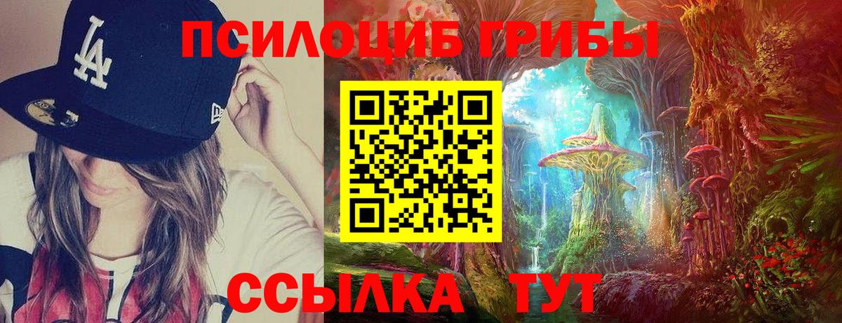 Псилоцибиновые грибы Cubensis  Вход с VPN  как найти   Новошахтинск 